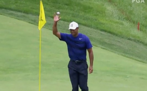 Tökéletes ütés Tigertől!