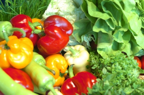 Pótoljuk a hideg napokon is a vitamint