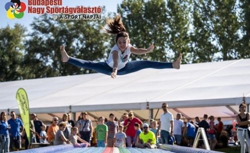 Olimpiai bajnokok is megjelennek a Nagy Sportágválasztón