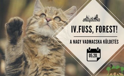 Jótékonysági erdei futóversenyt és családi napot szervez a Budakeszi Vadaspark