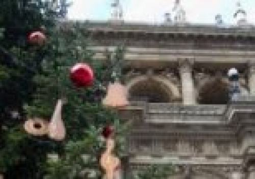 Diótörő Fesztivál